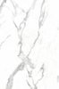 Auspicious Motif