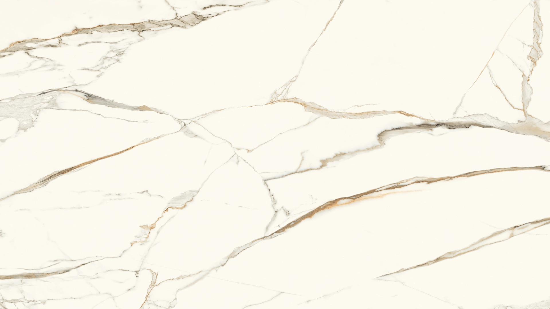 calacatta-oro_slab_16x9.png